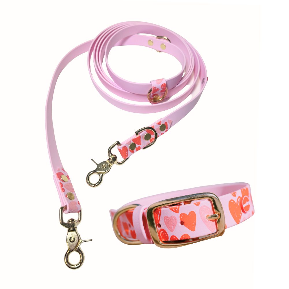 Reedog venčící set srdce Biothane OBOJEK + VODÍTKO