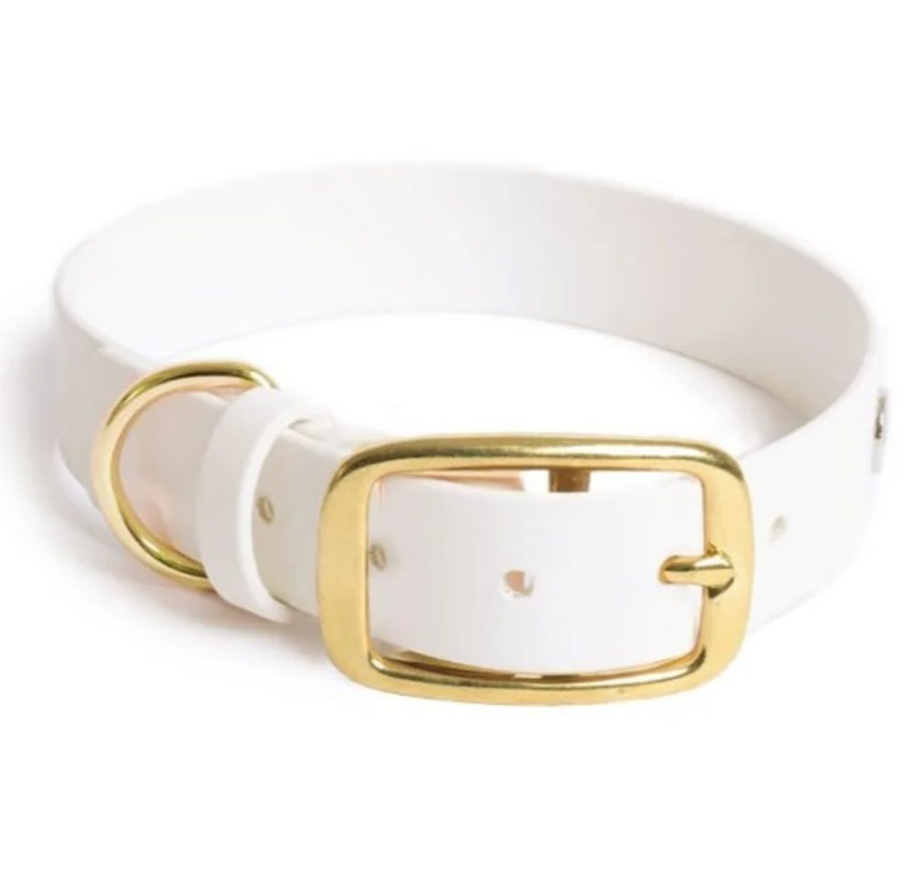 Reedog obojek bílý Biothane | Obojek pro psy - M/L