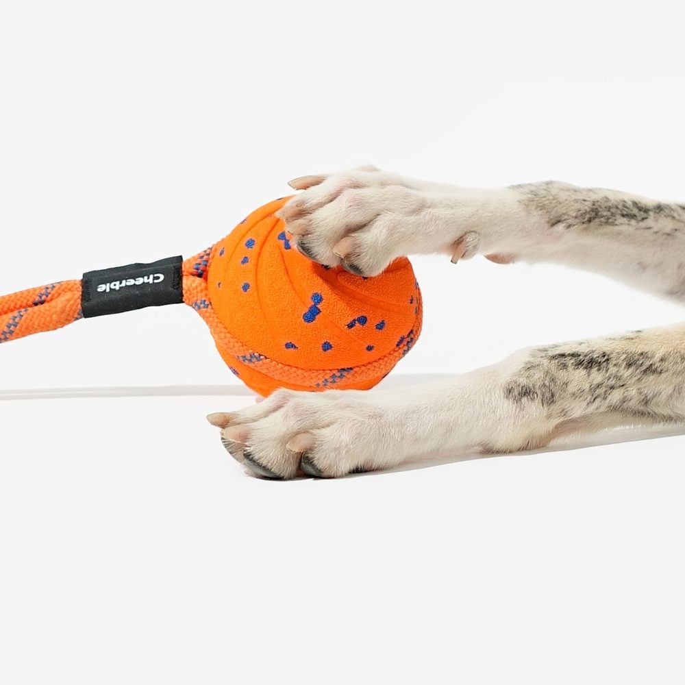 Cheerble Wicked Ball Air Rope | Hračky pro psy (zdjęcie 6)