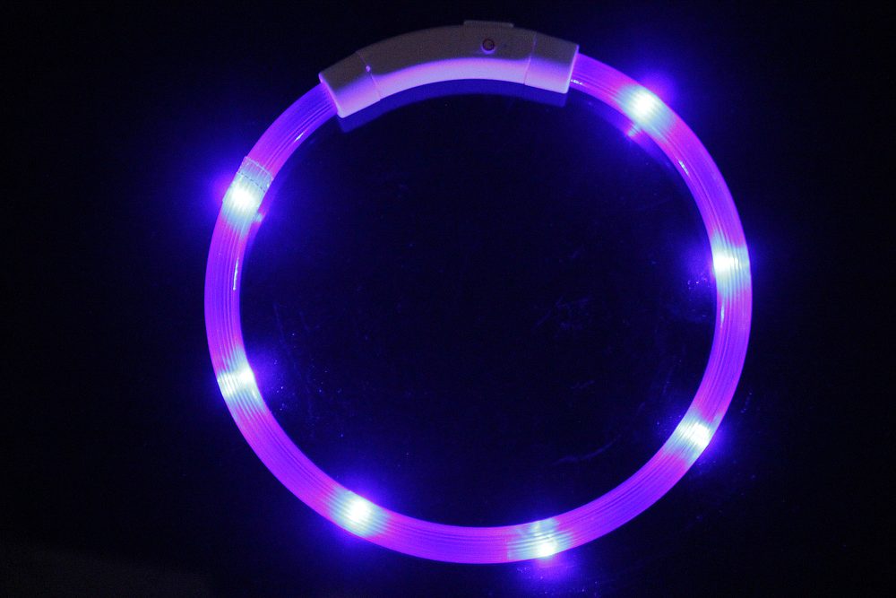 Reedog Easy Light USB dobíjecí svítící obojek pro psy a kočky - Modrá