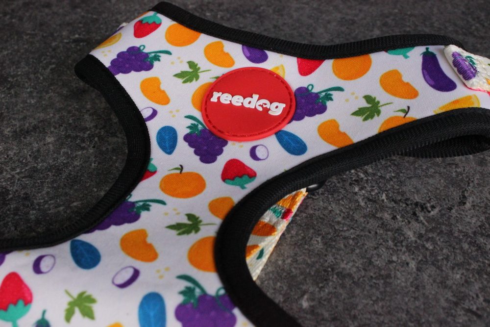 Reedog FRUIT | Szelki dla psa (zdjęcie 6)
