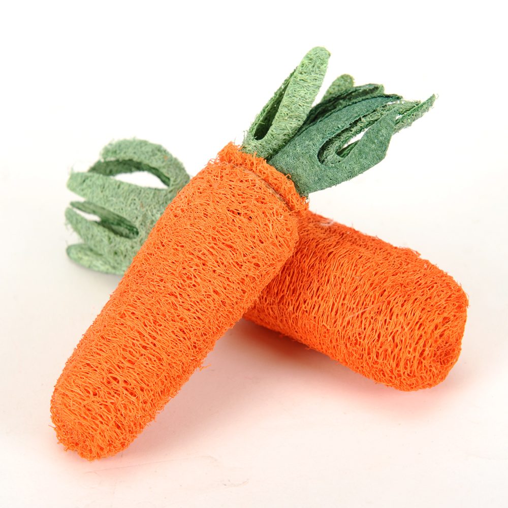 Reedog carrot, dentální hračka z luffy