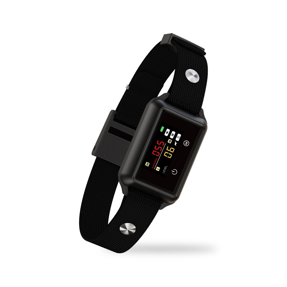 Patpet B801.
  Patpet B801 ist das weltweit erste vibrierende Anti-Bell-Halsband mit einem farbigen LED-Touchscreen.
 

Bellerkennung Bar
Das Patpet B801 nutzt den Klang und die Vibration der Stimmbänder, um Bellen zu erkennen.
 

Art der Korrektur
Das Anti-Bell-Halsband B800 bietet zwei Arten von Korrekturen - Ton und Vibration.
 
 

Akkus und Laden
Die Patpet B800 verfügt über e