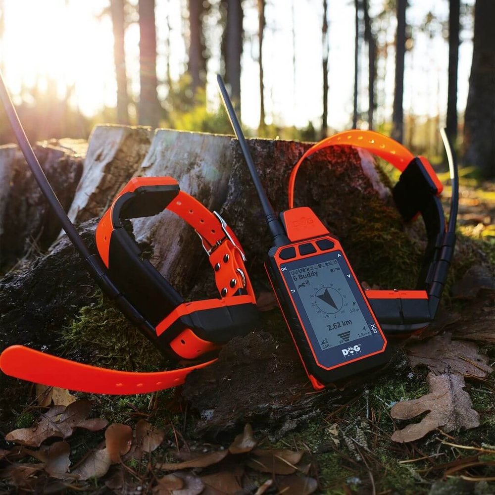 GPS obroża dla psa DOG GPS X40 (zdjęcie 8)