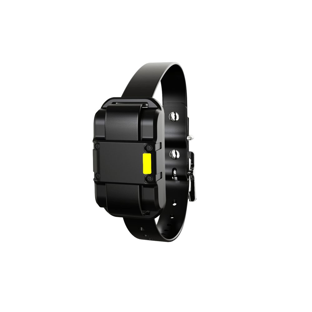 Obojek a přijímač Patpet 625 | Náhradní příslušenství