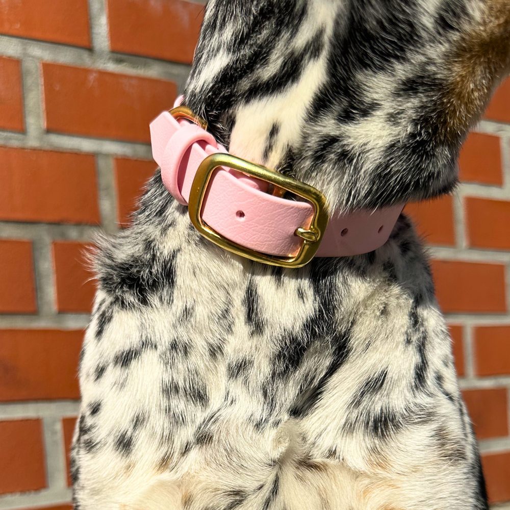 Reedog obroża pudrowy róż | | Obroża dla psów - M/L (zdjęcie 4)