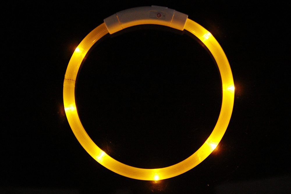 Reedog Easy Light USB dobíjecí svítící obojek pro psy a kočky - žlutá