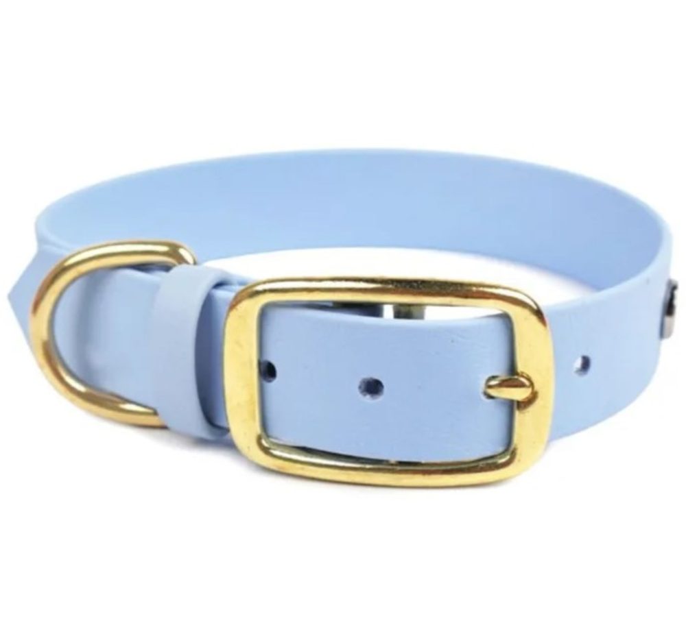 Reedog obojek nebesky modrý Biothane | Obojky pro psy - M/L