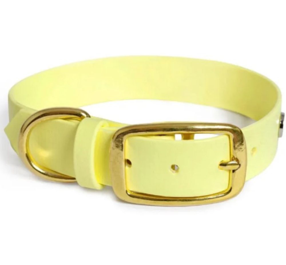 Reedog obojek pastelově žlutý Biothane | Obojek pro psy - XS