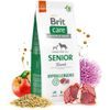 Brit Care Dog Hypoallergenic Senior Lamb 1 kg