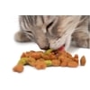 Electronic pet feeder Eyenimal