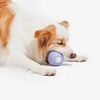 Cheerble Wicked Ball PE für mittelgroße und große Hunde lila
