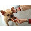 Reedog Bone, juguete dental para perros