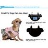 Patpet anti-bark collar B420