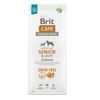 Expiry 11/08/2026: Brit Care Dog Grain-free Senior & Light Salmon 12 kg