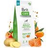 Termin ważności 27.7. 2026: Brit Care Dog Grain-free Adult Large Breed Salmon 12 kg