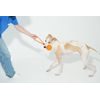 Cheerble Wicked Ball Air Rope