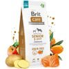 Expiry 11/08/2026: Brit Care Dog Grain-free Senior & Light Salmon 12 kg