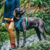 Kurgo Journey Air Dog Harness