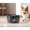 Petwant W8 pet fountain