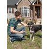 PetSafe® Smart Dog training collar