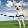Harness for dog EasyWalk