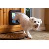 Door SureFlap with microchip for dogs