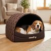Reedog Kukaň Brown Paw