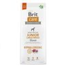 Termin ważności 18.6. 2026: Brit Care Dog Hypoallergenic Junior Large Breed Lamb 12 kg