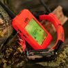 Ortungsgerät für Hunde DOG GPS X30 Short