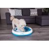 iDig Stay Digging Toy