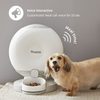 Smart feeder for cats and dogs Pawbo Crunchy