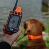 Empfänger – Handgerät für DOG GPS X40
