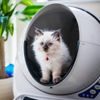 Litter-Robot III automata öntisztító macska toalett, kiterjesztett garanciával