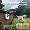Pethey F610