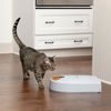PetSafe®, 5-Meal Pet Feeder