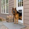 PetSafe® Extreme Weather Door ™ für kaltes Wetter