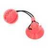 Reedog Pet Molar red