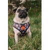Dog harness Reedog DOG & CAT