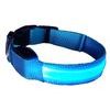 Glowing collar Reedog Colour for dogs and cats