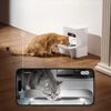 PetKit EverSweet Ultra Fountain with Camera