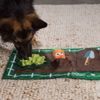 Sniffing rug Activity Matz Garden Game