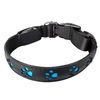 Collar luminoso recargable Reedog PATITAS
