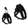 Vodiace vodítko/postroj pre psov JockeyHarness