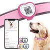 PawView smart obroża serce