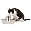 Fountain for dogs and cats PetSafe Seaside