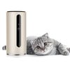 Petkit Mate Wifi kamera kutyáknak és macskáknak