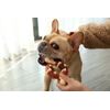 Reedog Bone, dental toy for dogs