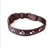 Collar luminoso recargable Reedog PATITAS