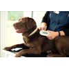 SureSense Chipleser für Hunde und andere Haustiere